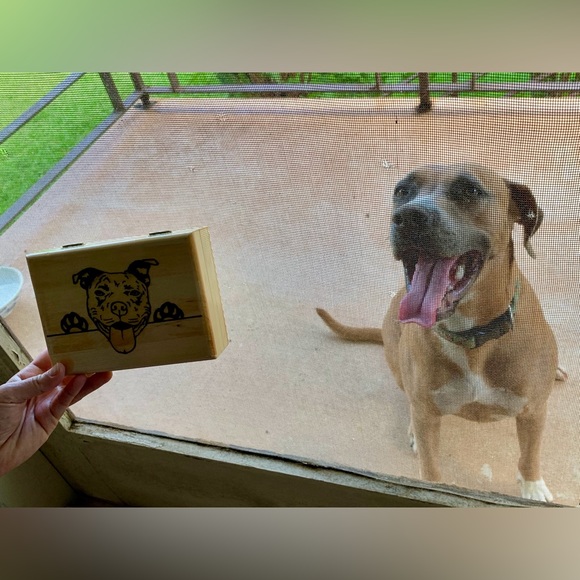 ๐ท ABOUT ME๐ท - Picture 10 of 16